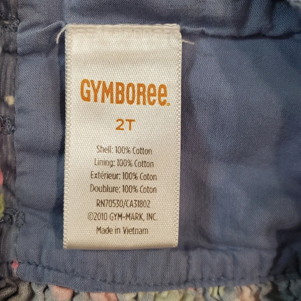 Gymboree Floral Corduroy Sleeveless Dress 2T
